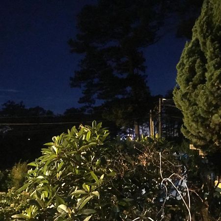 Hotel Windy House Da Lat Zewnętrze zdjęcie