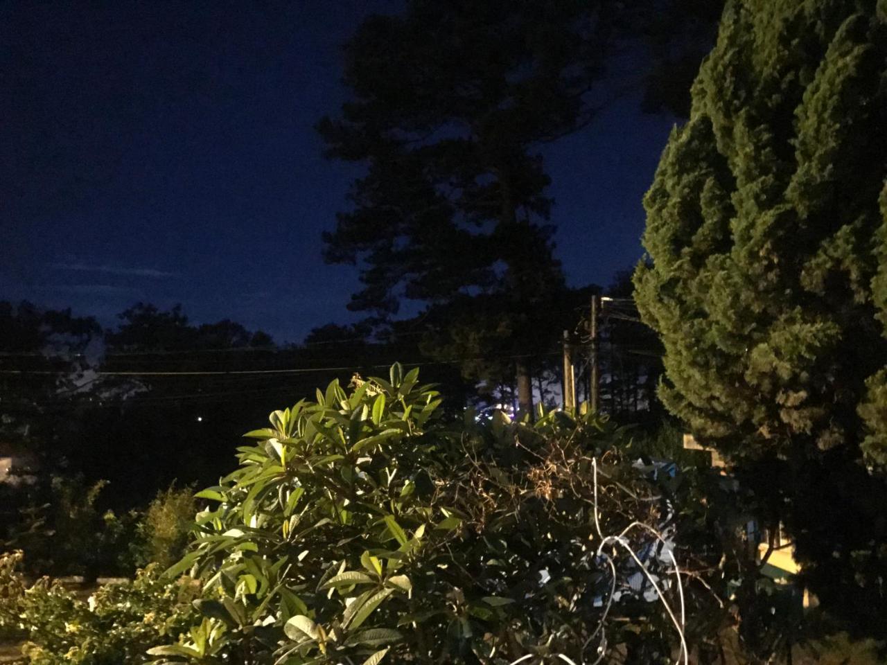 Hotel Windy House Da Lat Zewnętrze zdjęcie
